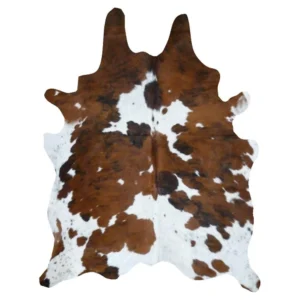 DRY SALTED DONKEY SKIN