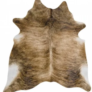 DRY SALTED DONKEY SKIN 2