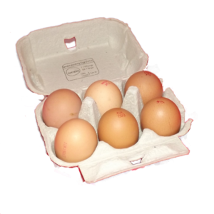 Fresh Eggs
