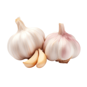 Fresh Garlic