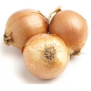 Fresh onion