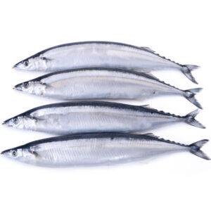 Frozen Pacific Mackerel