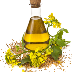 Rape Seed Oil