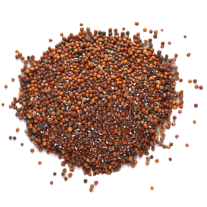 Red Millet