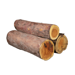 Wood Log